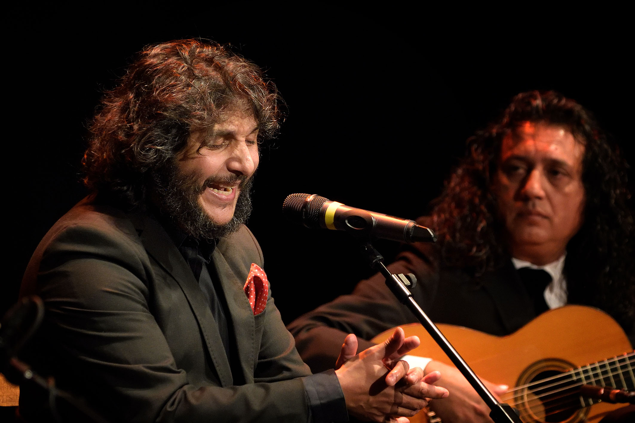 Aliado Incomodidad Cuervo Antonio Reyes y Diego Amaya redondean una gran noche flamenca -  Ayuntamiento de Argamasilla de Alba